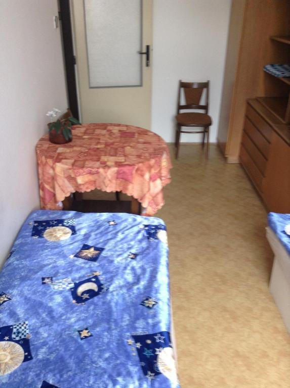 At Pension Ceske Budejovice Room photo