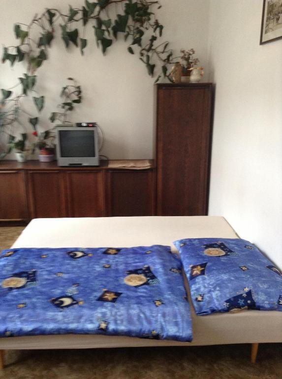 At Pension Ceske Budejovice Room photo
